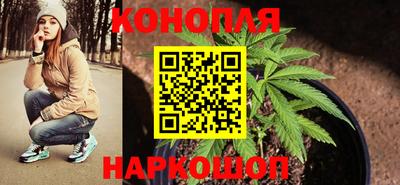 мдпв Гай