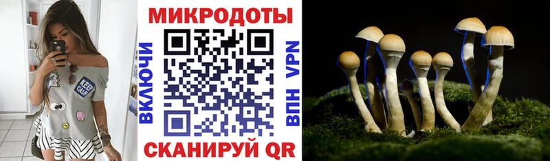 Галлюциногенные грибы Psilocybe  купить   Донецк 